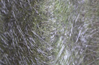 Holme Hill fibreglass roof work